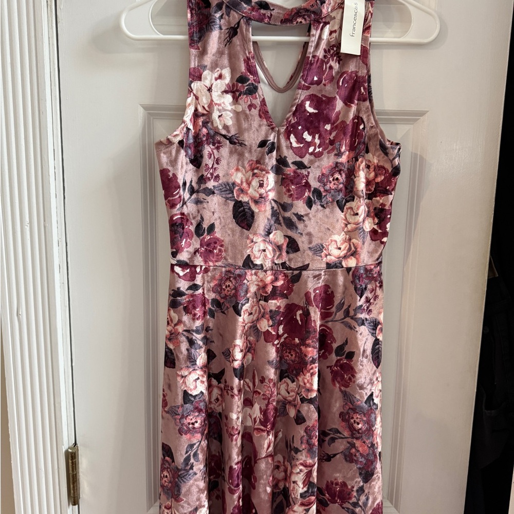 Francesca's Collections Blush and Plum Floral Dress velvet feel